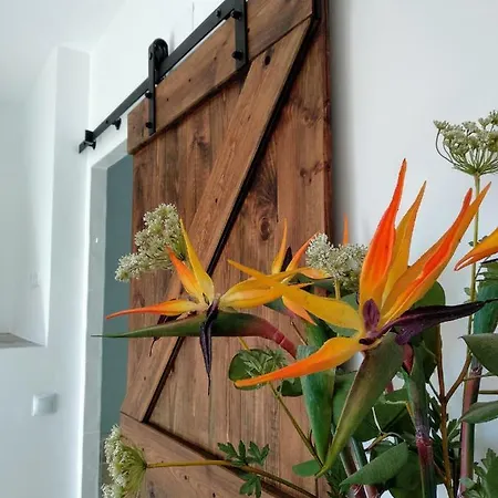 Casa de Férias La Barrosa Duplex